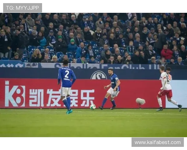 凯发足球平台安全保障措施详解，保障玩家游戏体验与资金安全